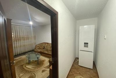 Apartament cu 2 camere semidecomandat în Valea Rosie - 8