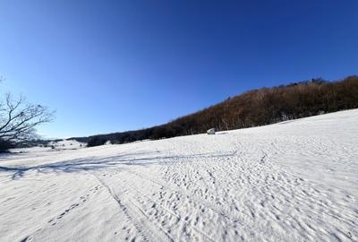 Teren agricol extravilan de 15000 mp, în Vulcan - 4