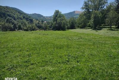 Teren de 1986 mp, în Poieni - 4