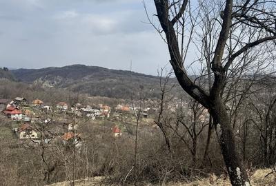 Teren de 4830 mp, în Godeni - 3