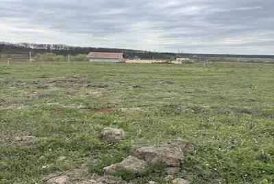 Teren de 500 mp, în Central