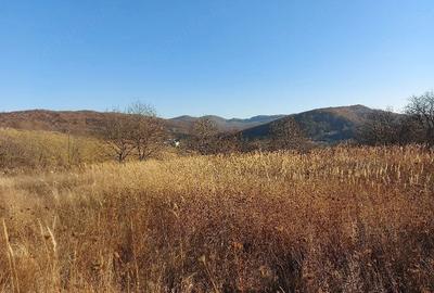 Teren de 2900 mp, în Buhoci
