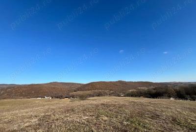 Teren de 14387 mp, în Lugașu de Sus - 2