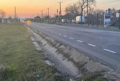 Teren de 19755 mp, în Șimian - 6