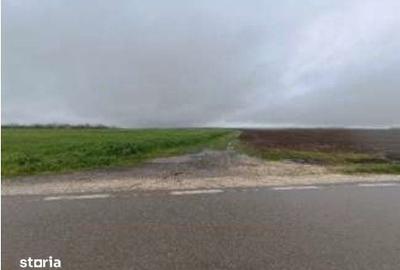 Teren de 32600 mp, în Deleni - 5