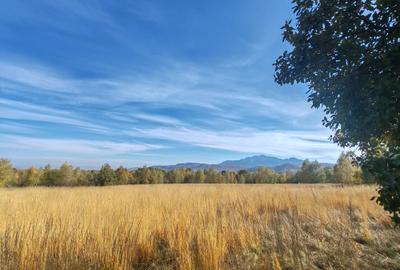 Teren agricol extravilan de 5800 mp, în Sohodol - 10