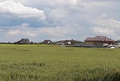 Teren de 5000 mp, în Brănești - 1