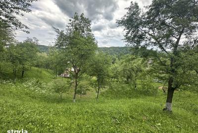 Teren de 2400 mp, în Telega - 2