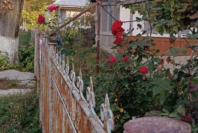 Casă cu 3 camere în Central