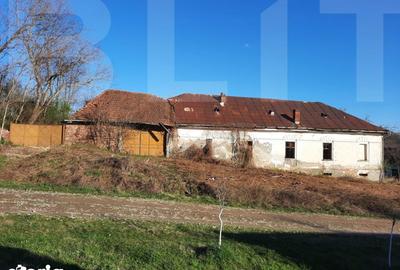 Casă cu 4 camere cu Teren 10000 Mp în Central - 7