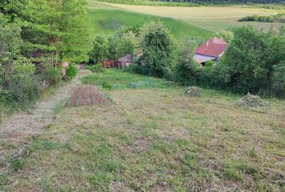Teren de 2160 mp, în Șpring