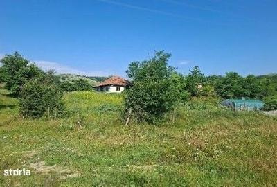 Casă cu 3 camere în Policiori