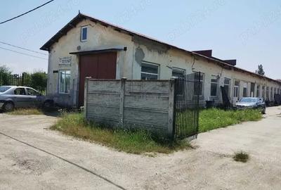 Spațiu comercial, de 1,446 mp, în Filiași - 10