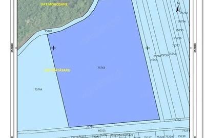 Teren agricol extravilan de 76400 mp, în Mătăsaru