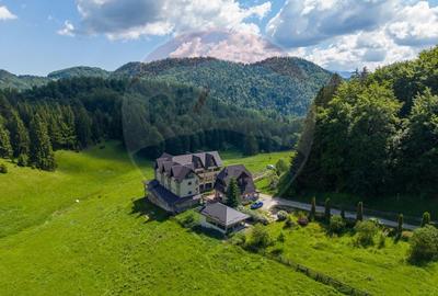 Hotel/Pensiune, de 1,974 mp, în Dâmbovicioara