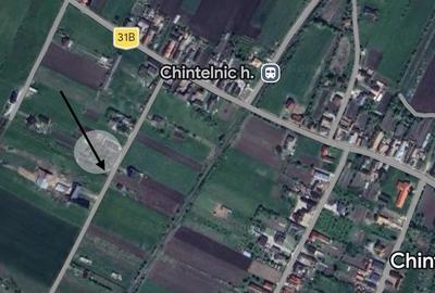 Teren de 14000 mp, în Chintelnic - 4