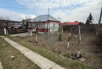 Casă cu 3 camere cu Teren 990 Mp în Fitionești - 10