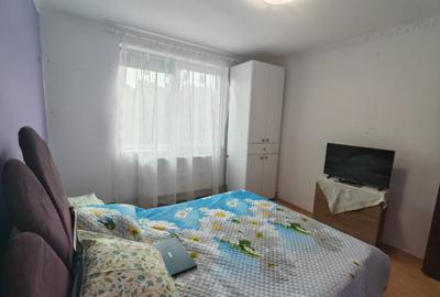 Apartament cu 2 camere semidecomandat, mobilat în Brotăcei - 5