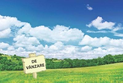 Teren de 2600 mp, în Central