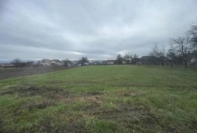 Teren de 1065 mp, în Cuzdrioara - 2