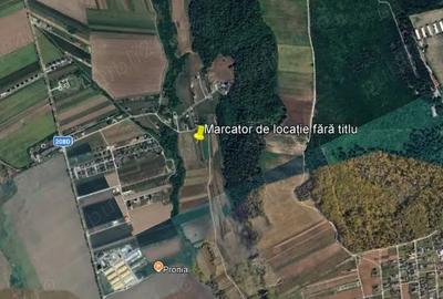 Teren în Mitocu Dragomirnei - 1