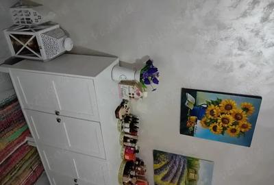 Casă cu 3 camere cu Teren 1750 Mp în Vișina - 4