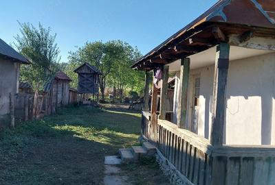 Casă cu 2 camere cu Teren 3819 Mp în Ionești