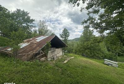 Spațiu comercial, în Telega - 3