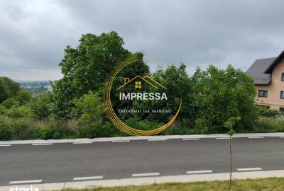 Teren de 6000 mp, în Ipotești