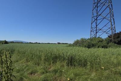 Teren de 5255 mp, în Central
