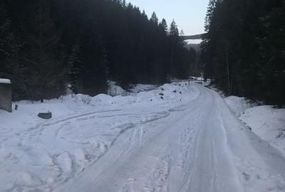 Teren de 3600 mp, în Sucevița - 7