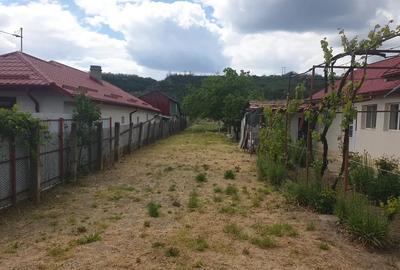 Casă cu 4 camere în Topliceni - 3