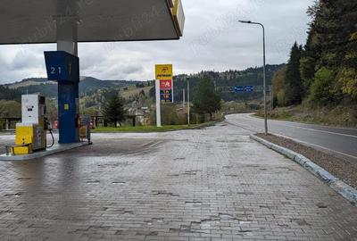 Casă cu 3 camere cu Teren 7100 Mp în Roșeni - 3