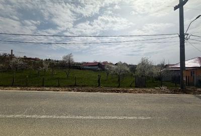 Teren de 1500 mp, în Nord-Est - 1