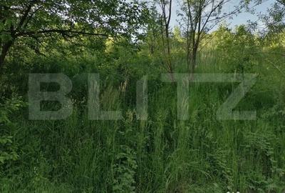 Teren de 14400 mp, în Gemenea-Brătulești - 3