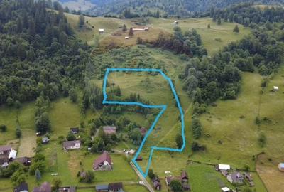 Teren Construcții intravilan de 6619 mp, în Crucea - 2
