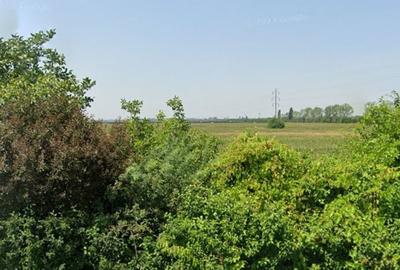 Teren de 5000 mp, în Berceni