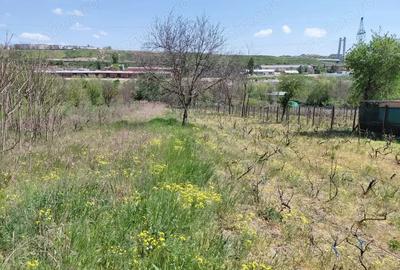Teren de 3250 mp, în Central - 20
