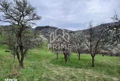 Teren de 13700 mp, în Vințu de Jos - 1