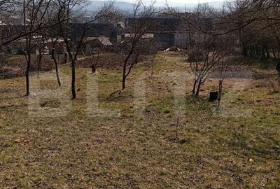 Casă cu 4 camere cu Teren 3100 Mp în Central