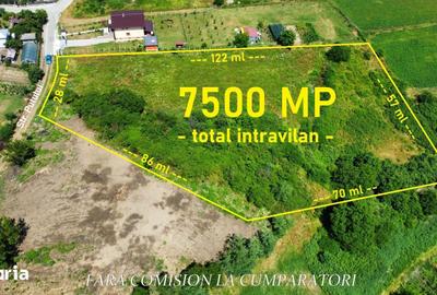 Teren de 7500 mp, în Râureni