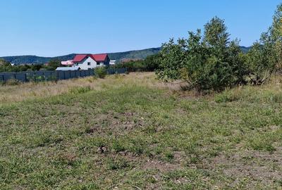 Teren de 1501 mp, în Bănești
