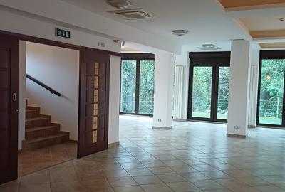 Birou, de 435 mp, în Băneasa - 3