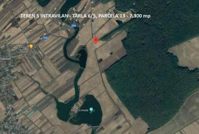 Teren agricol intravilan de 20000 mp, în Răcari - 4