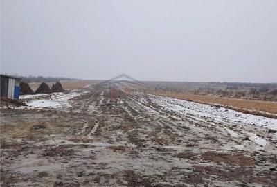 Teren de 1695 mp, în Mitocu Dragomirnei