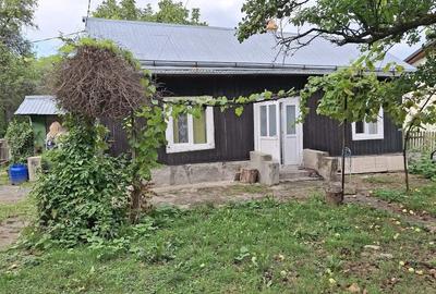 Casă cu Teren 20000 Mp în Siliștea