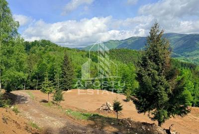 Teren Construcții extravilan de 18000 mp, în Exterior Sud - 5