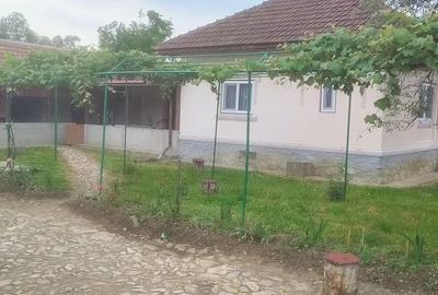 Teren de 6800 mp, în Polovragi - 5