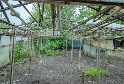 Casă individuală cu 7 camere cu Canalizare în Tazlău - 18