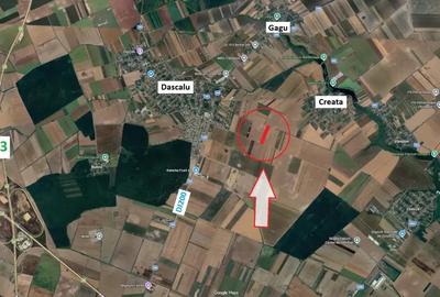 Teren de 22715 mp, în Dascălu - 3